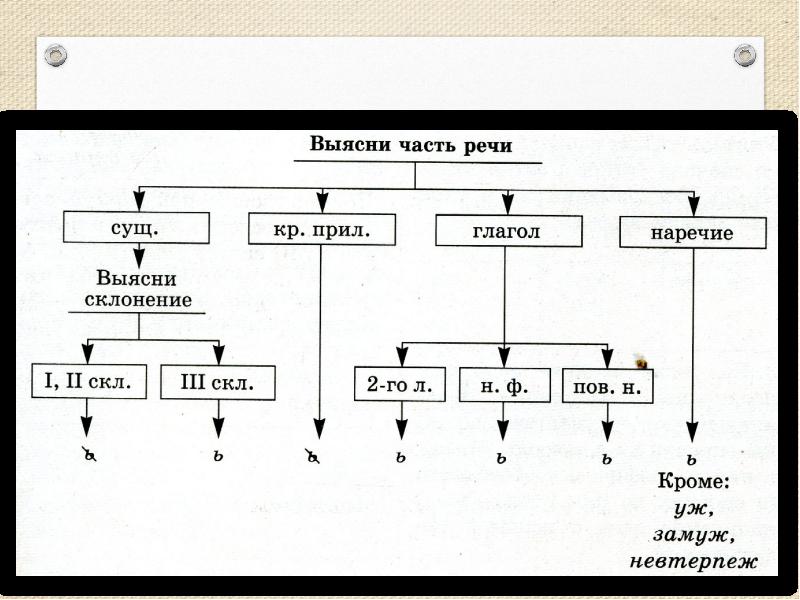 Морфология орфография 7 класс повторение в конце года презентация