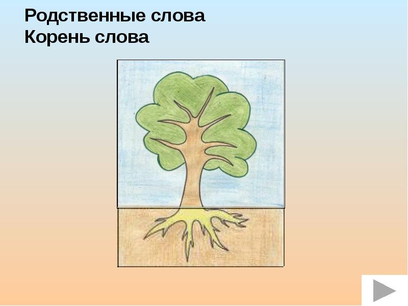 Однокоренные родственные слова корень слова 2 класс. Группа родственных слов с корнем сад. Дерево корня слова цвет. Корень родственные слова. Дерево деревянный однокоренные.