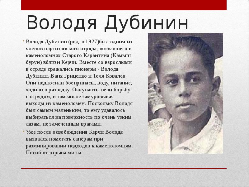 Володя дубинин презентация для начальной школы