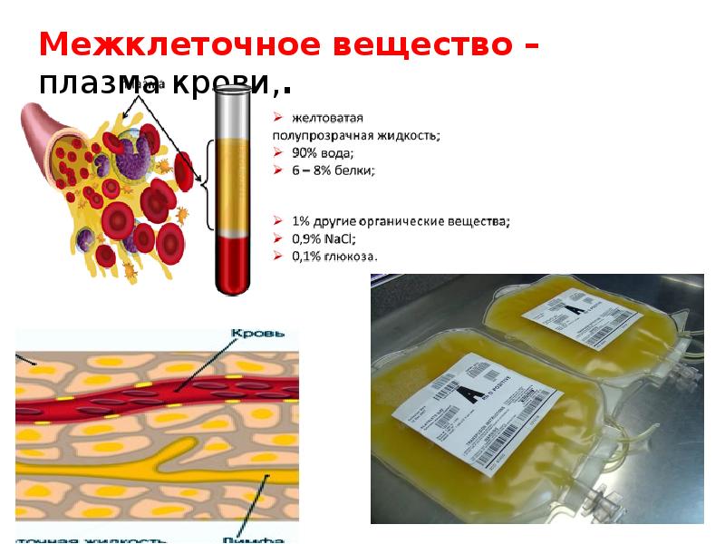 Межклеточное вещество. Межклеточное вещество плазма. Межклеточное вещество крови. Плазма межклеточное вещество крови. Состав межклеточного вещества крови.