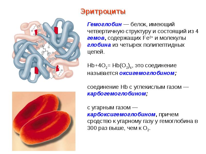 Гемоглобин дыхание