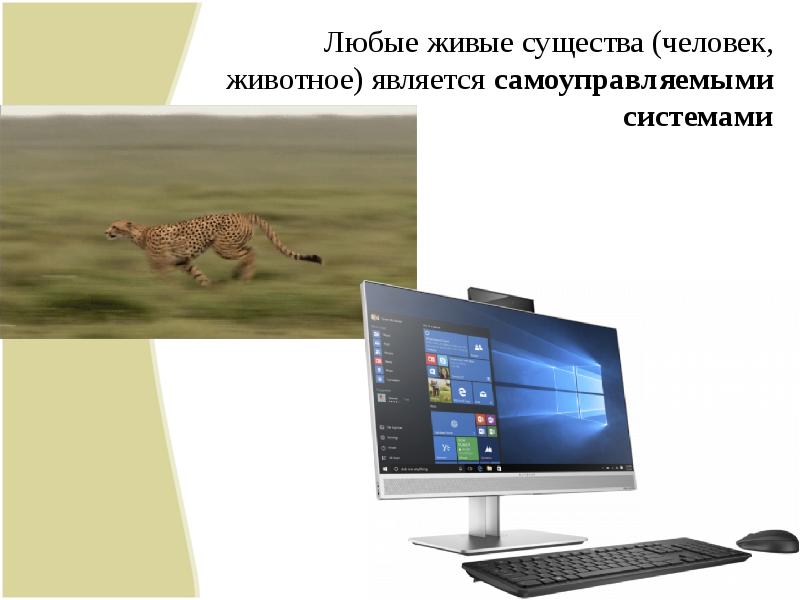 Человек является животным или нет. Человек является животным.