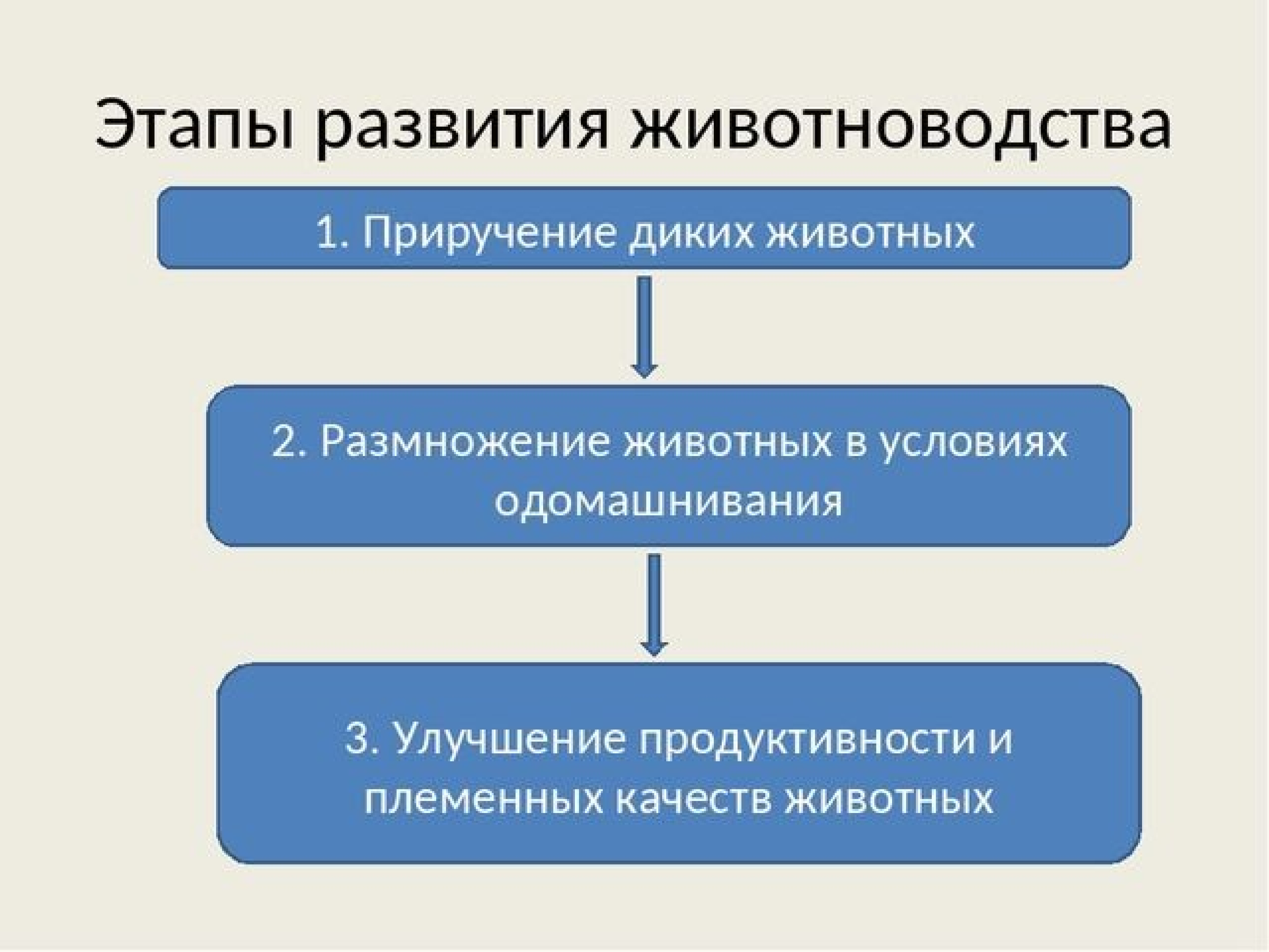 Технологии животноводства презентация