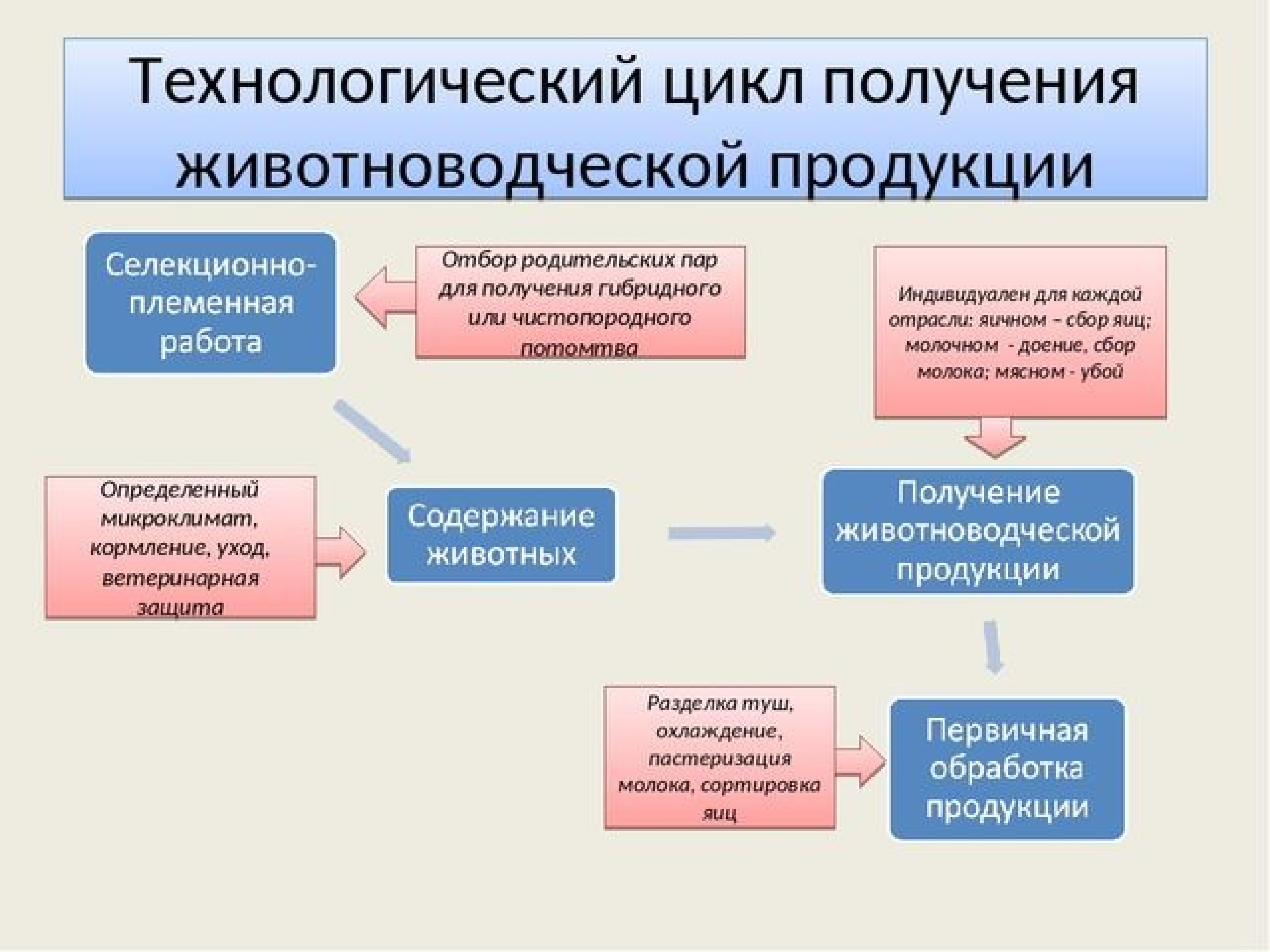 Технология производства продукции. Технологический цикл получения животноводческой продукции. Получение продукции животноводства. Технология получения животноводческой продукции. Технология производства продукции животноводства.