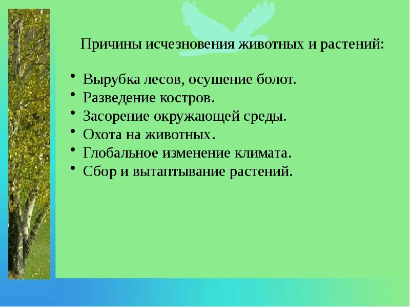 Проблемы исчезновения растений. Причины исчезновения животных и растений. Причины исчезновения растений и животных красной книги. Причины исчезновения растений. Причины вымирания животных и растений.