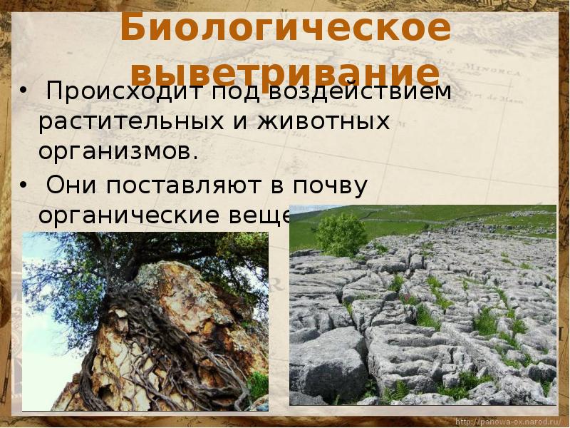 Воздействие внешних сил. Биологическое выветривание формы рельефа. Химическое выветривание формы рельефа. Выветривание презентация. Формы рельефа образованные выветриванием.