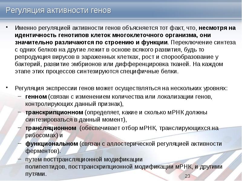 Регуляция на уровне транскрипции. Уровни регуляции генной активности.