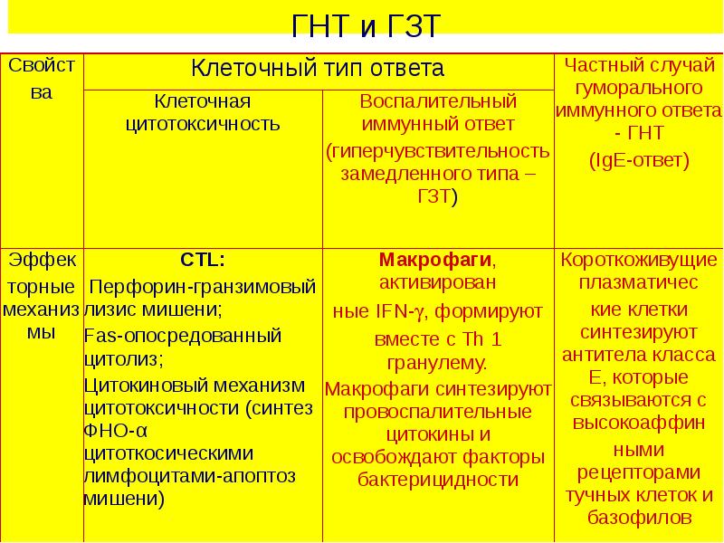 Презентация гиперчувствительность немедленного типа