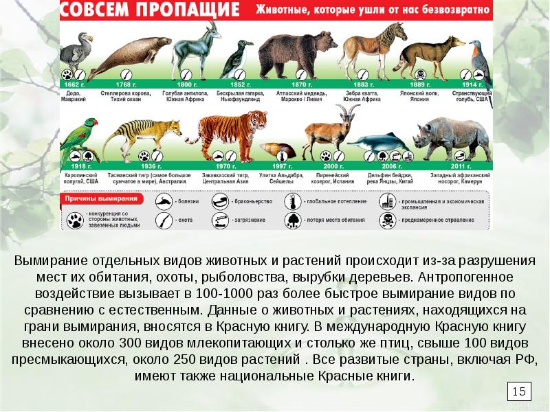 Причины вымирания видов презентация