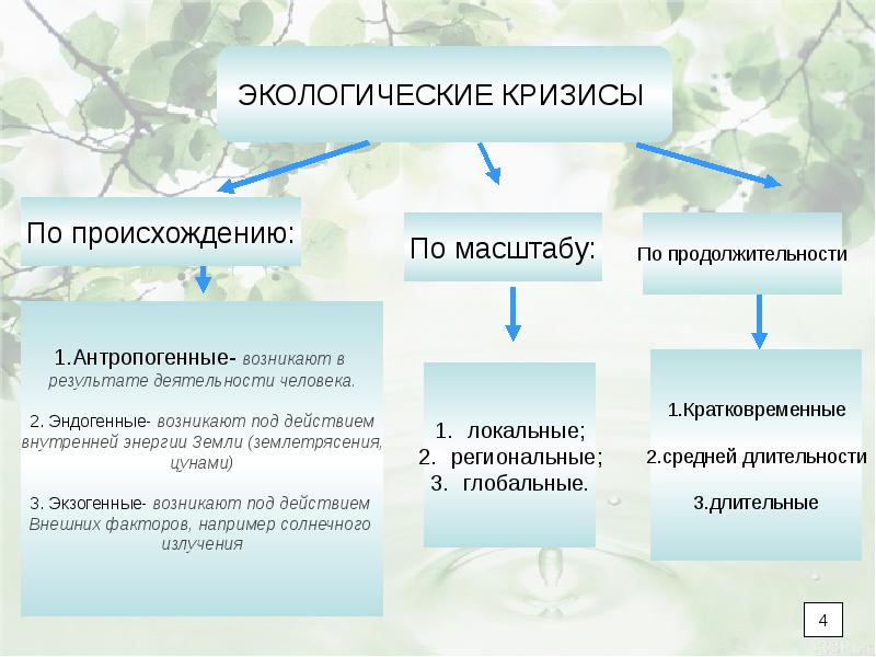 Экологический кризис схема