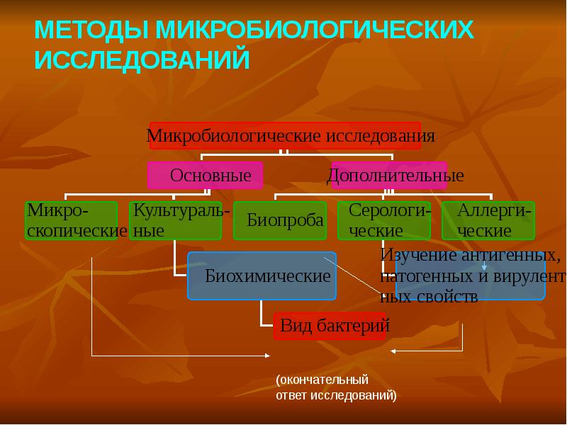 2. Биологический метод исследования микроорганизмов характеристика. Основные методы микробиологических исследований. Микробиологические методы. Методы исследования микробиологической лаборатории.