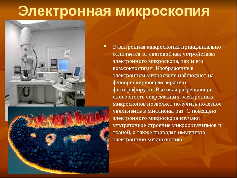 Микроскопический метод исследования в микробиологии презентация