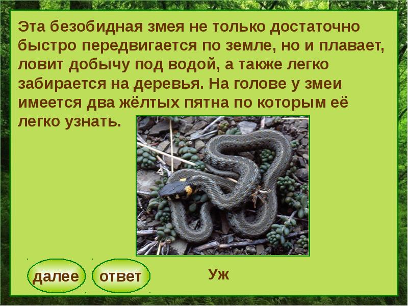 змея 2 буквы. цифры в виде животных. зубы ядовитой змеи и неядовитой. змея в виде буквы з. змея вектор.