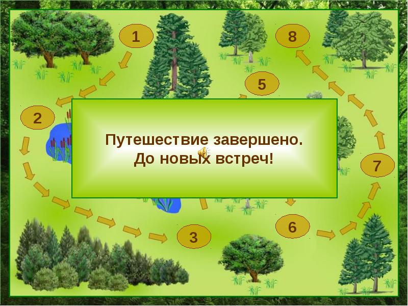 Карта схема экологической тропы в детском саду с условными обозначениями