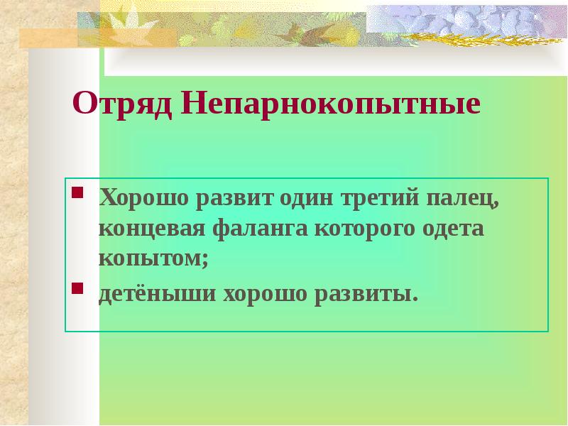 Отряд непарнокопытные презентация