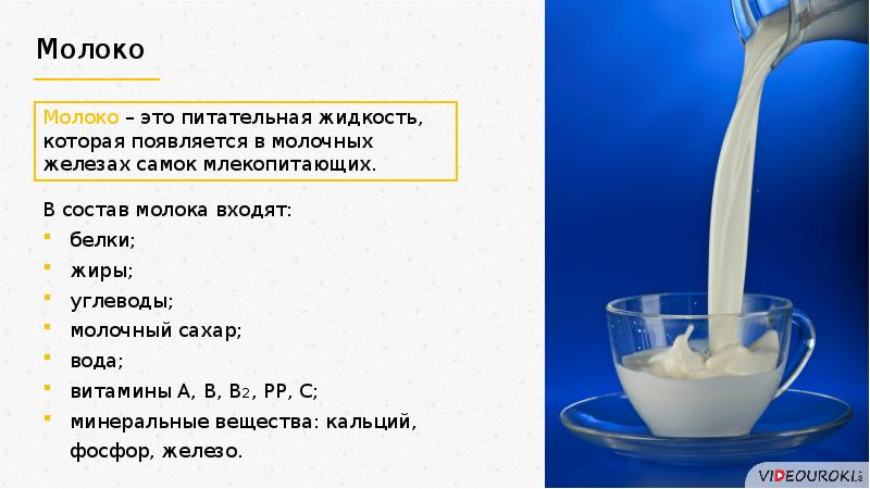 Свойства молока. Молоко и его свойства. Молоко питательная жидкость. Молоко кулинарное использование. Творческий проект на тему молоко.