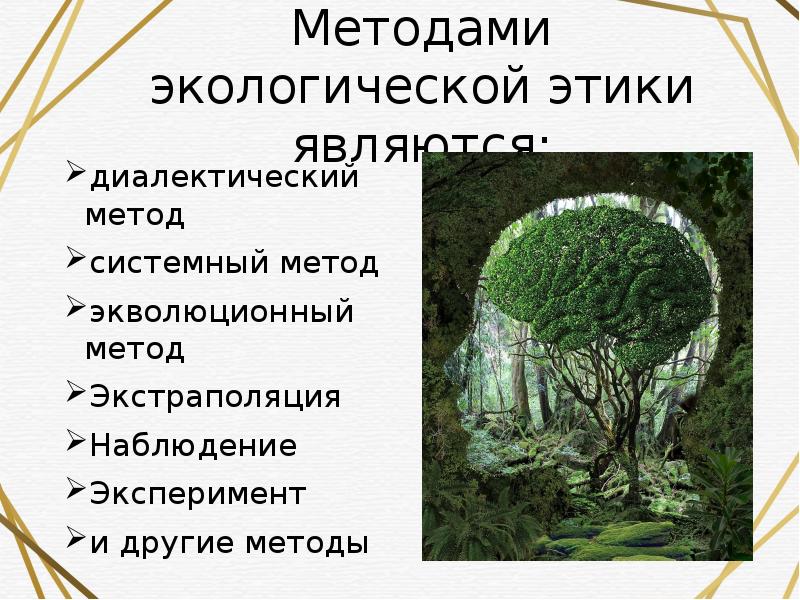 Природа этического