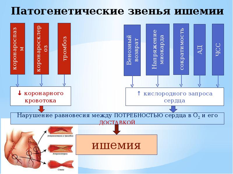 Презентация антиангинальные препараты