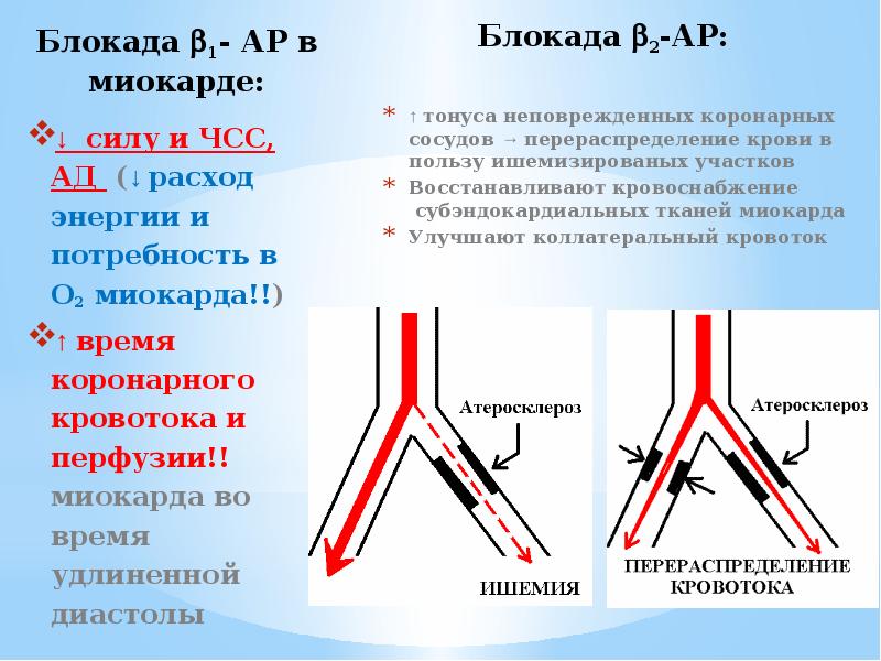 Блокада 1- АР в миокарде:
Блокада 1- АР в миокарде: Блокада 1- АР в миокарде:
Блокада 1- АР в миокарде:
