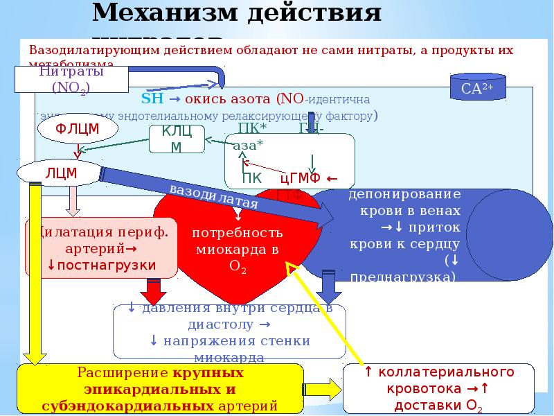 Антиангинальные средства презентация