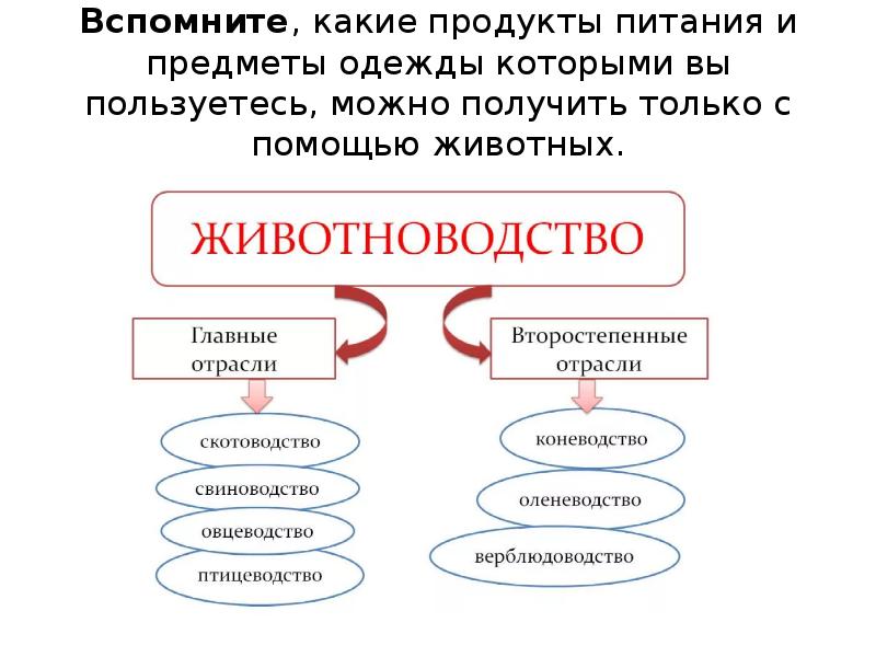 Животные и материальные потребности человека презентация технология 5 класс