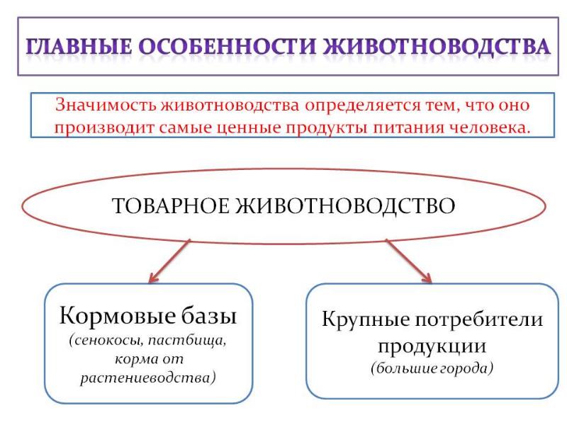 Животные и материальные потребности человека презентация технология 5 класс