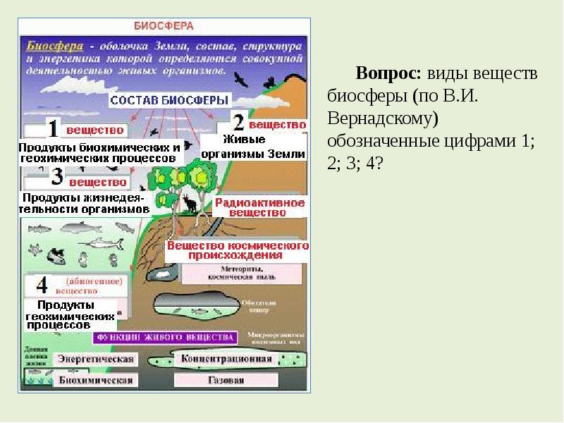 Биосфера вопрос. Инфографика по биосфере. Вопросы по биосфере. Термодинамика биосферы. Структура биосферы на термодинамическом уровне.