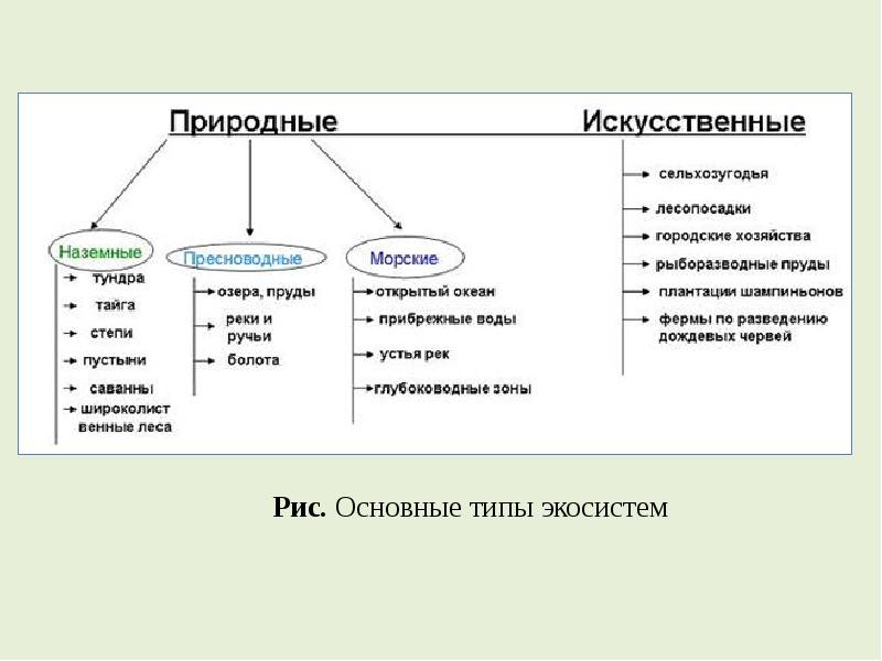 Ресурсы биосферы рекреационные и другие виды ресурсов схема