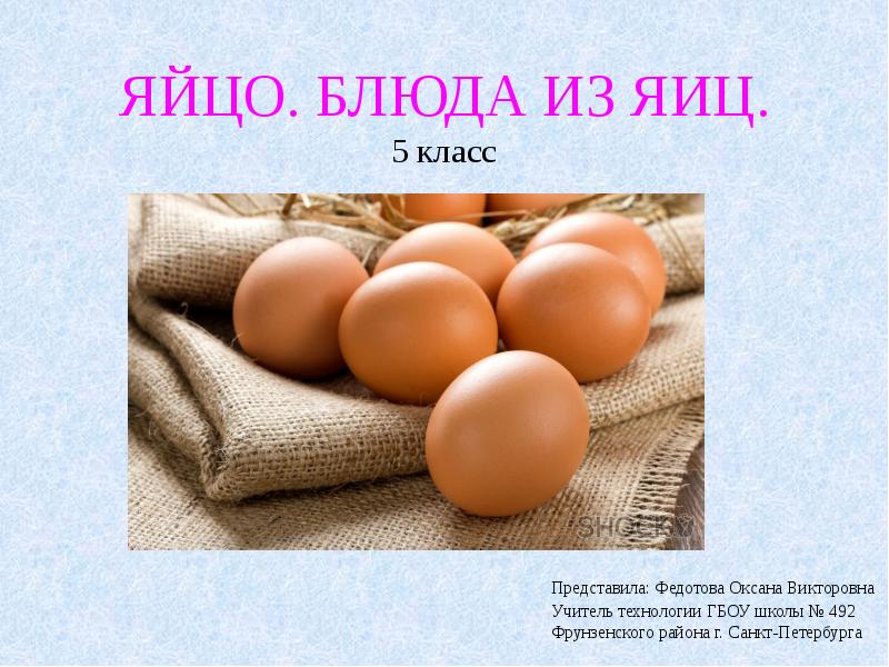Презентация на тему яйцо