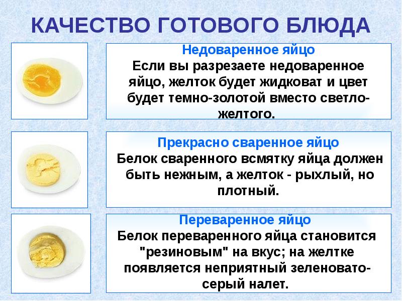 Презентация яйцо 5 класс технология