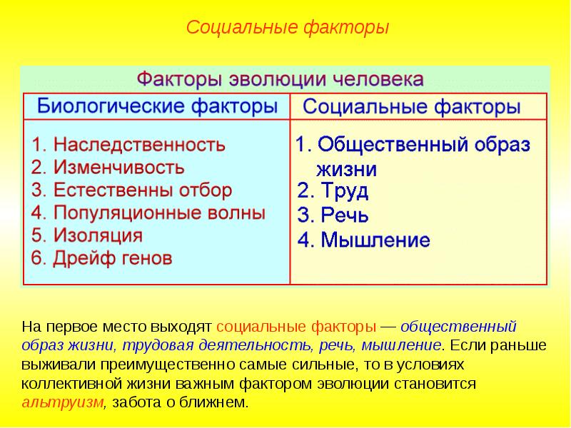 Биологические и социальные факторы эволюции человека презентация