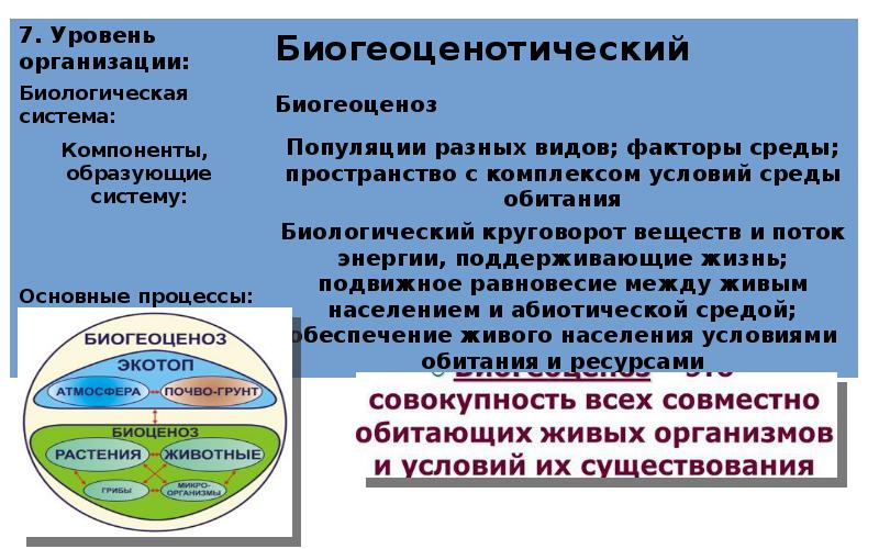 Биологический доклад. Биологические науки. Основы биологической науке презентация. Частные науки биологии список. Сфера интересов в классической науке о биологии.