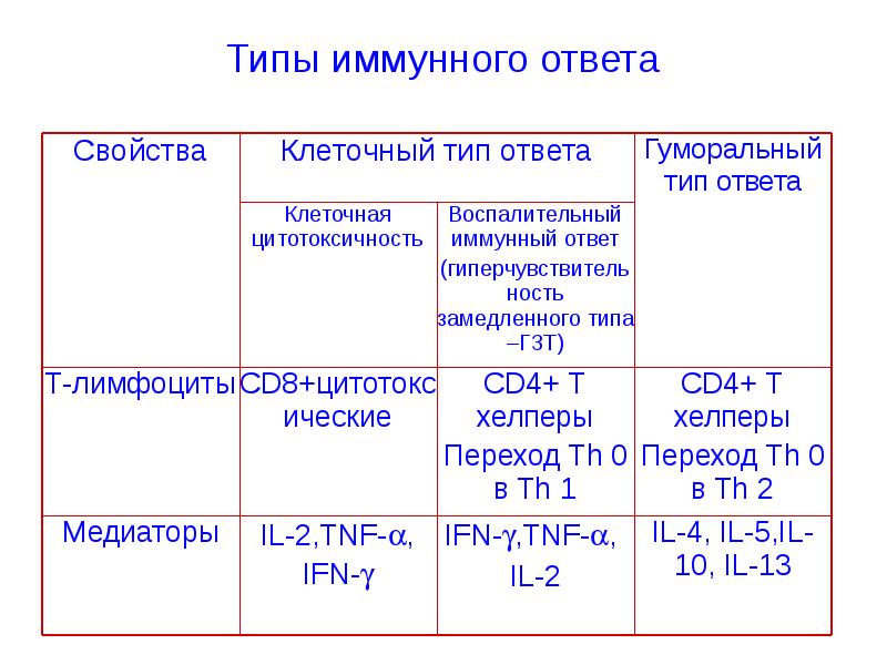 Схема иммуного ответа