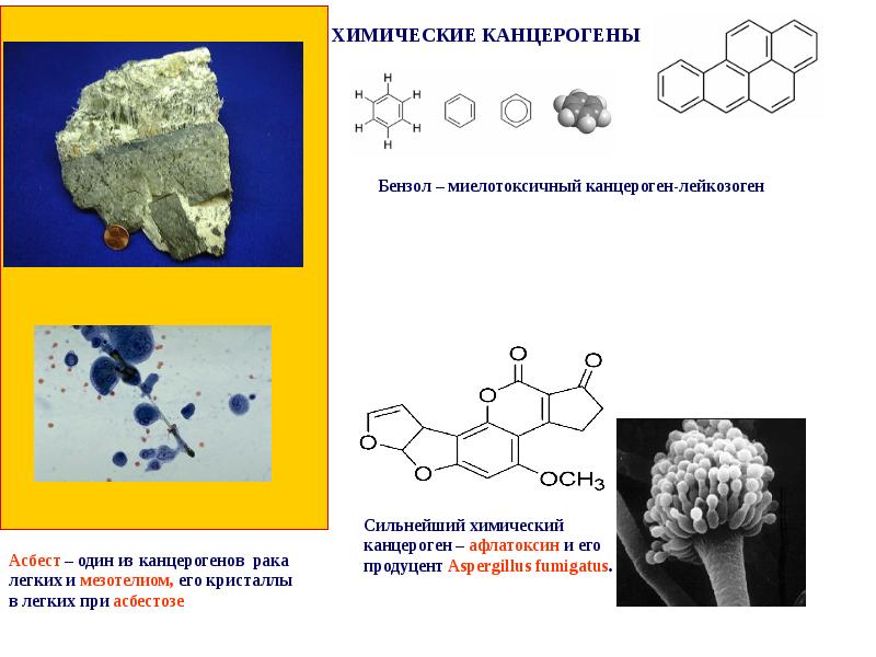 Сильный химический. Химические канцерогены. Эндогенные химические канцерогены. Химические канцерогены примеры. Бензол канцероген.
