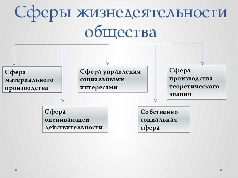 Схема сферы жизнедеятельности общества