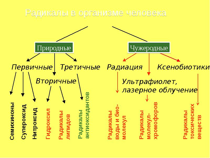 Презентация на тему радикалы