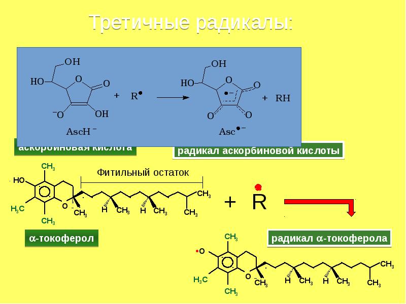 Презентация на тему радикалы