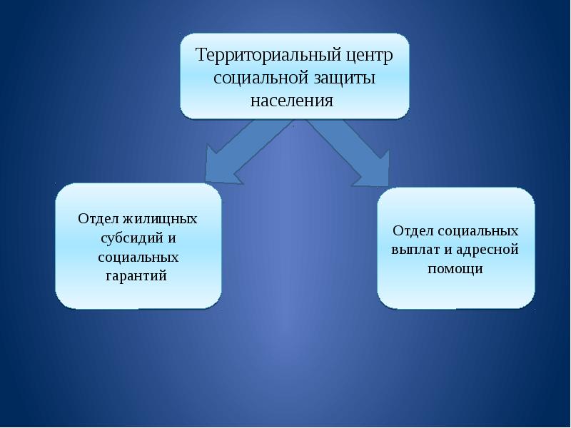 Территориальный центр социальной защиты населения