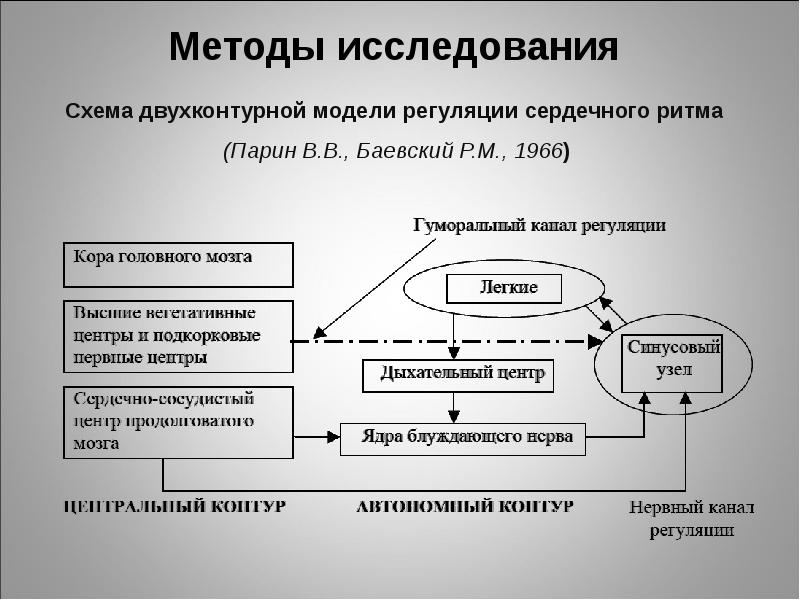 Схема двухконтурной модели регуляции сердечного ритма. Центральный контур регуляции сердечного ритма это. Двухконтурная денежная модель. Двухконтурной модели регуляции сердечного ритма, р.м. Баевским.