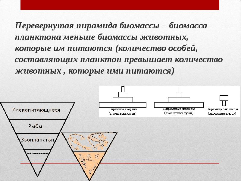 Схема перевернутая пирамида это