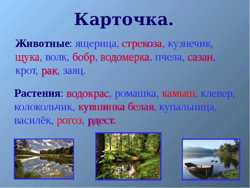 Окружающий мир 2 класс водоемы презентация 2 класс