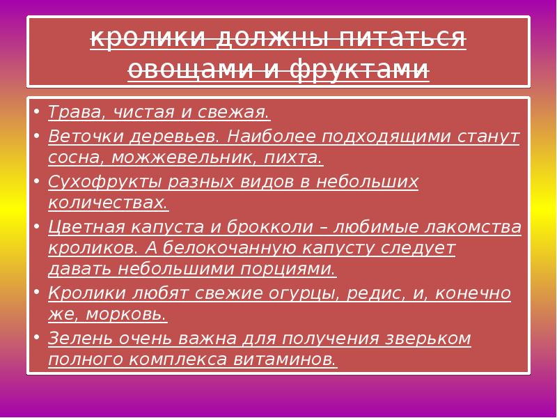 Декоративные кролики презентация