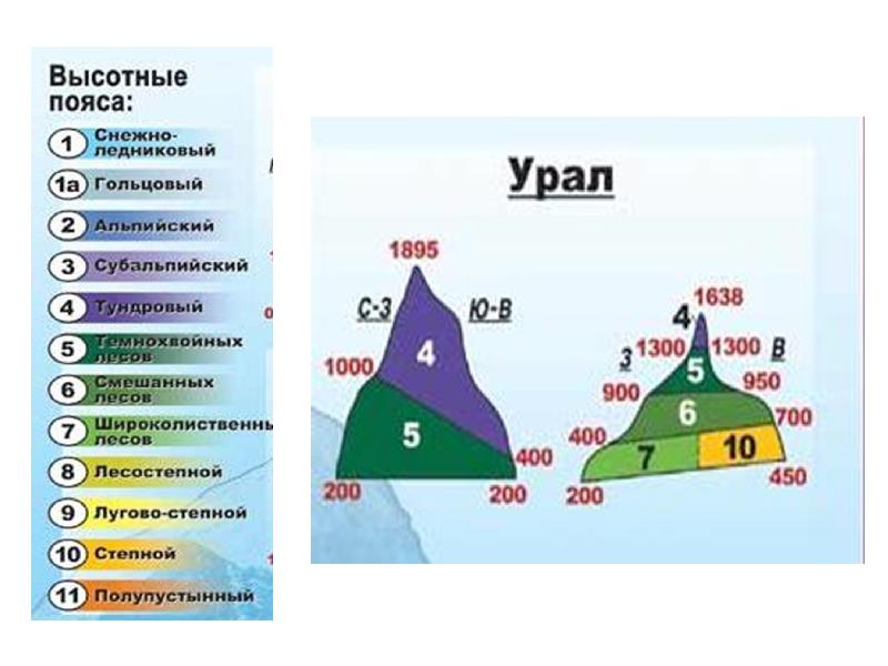 Уральские горы проект 9 класс