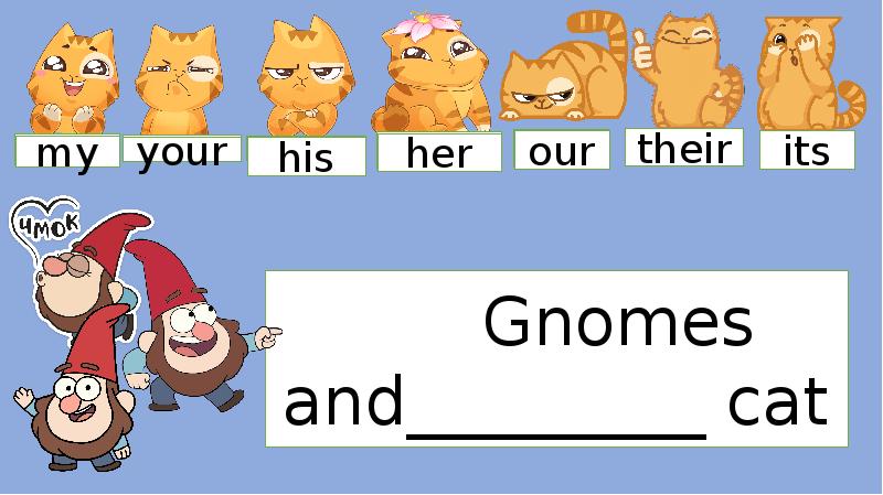 My his her its our your their. My your his her its our their Сова. Her his its с животными. Mine yours his hers ours theirs презентация ВК. Our his.