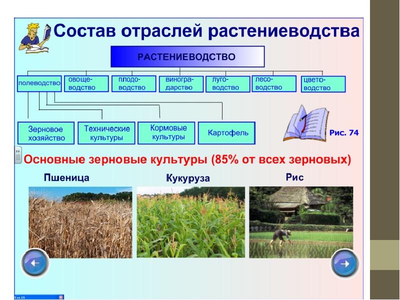 Заполни схему земледелие 3 класс