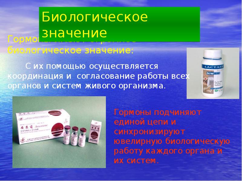 Типы общения в психологии. Как осуществляется контроль подготовленности спортсменов. Виды первой медицинской помощи. Первичные посредники. Контекст речевой коммуникации.