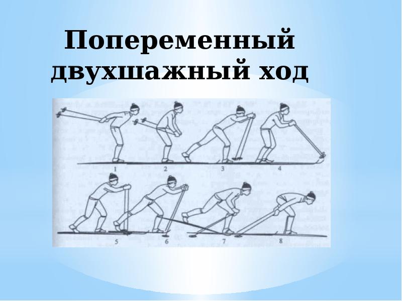 Виды лыжных ходов. Одновременный бесшажный ход и попеременный двухшажный ход. Попеременный бесшажный ход на лыжах. Попеременно двухшажный классический ход техника. Попеременный бесшажный ход техника.