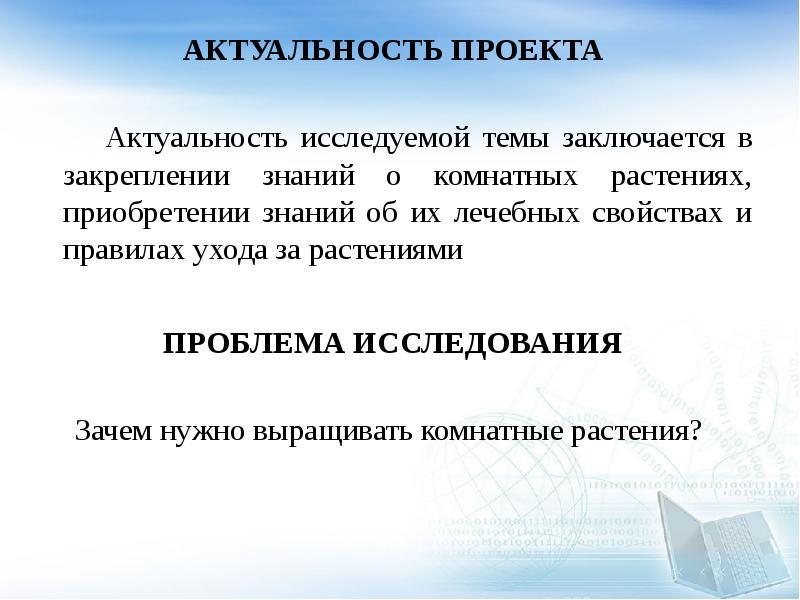 В чем может заключаться актуальность проекта