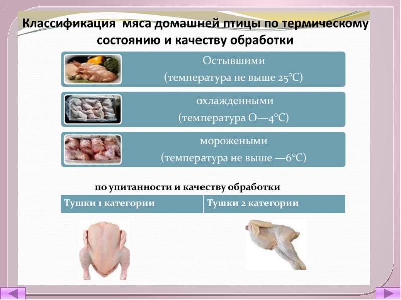 Схема обработки сельскохозяйственной птицы