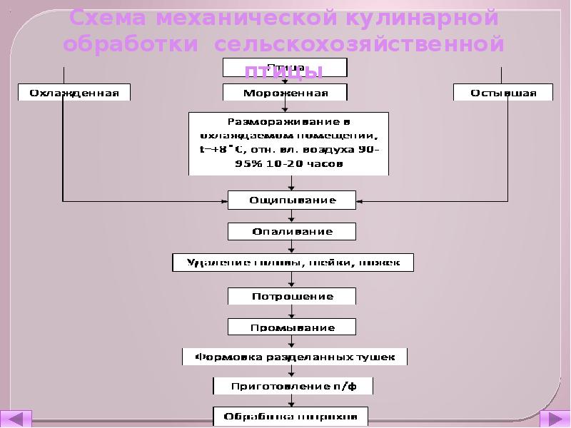 Допишите схему механической кулинарной обработки мороженого мяса размораживание